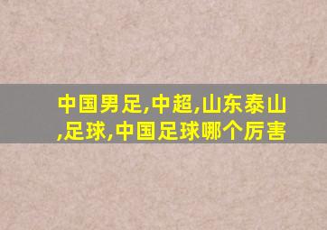 中国男足,中超,山东泰山,足球,中国足球哪个厉害