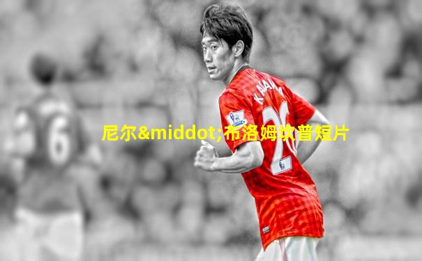 尼尔·布洛姆坎普短片