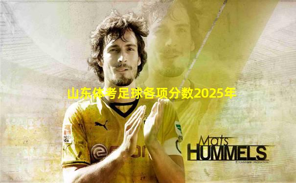 山东体考足球各项分数2025年