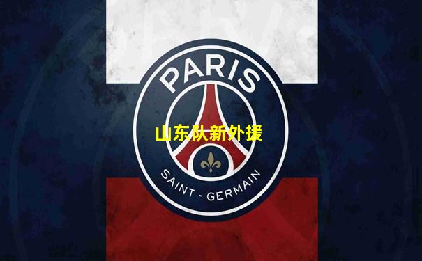 山东队新外援