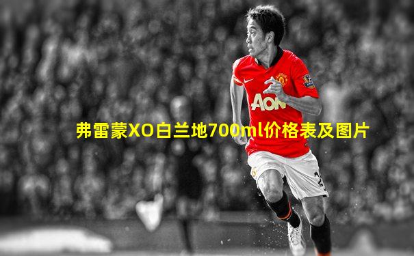弗雷蒙XO白兰地700ml价格表及图片