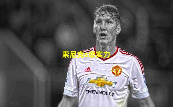 索尼克s级实力