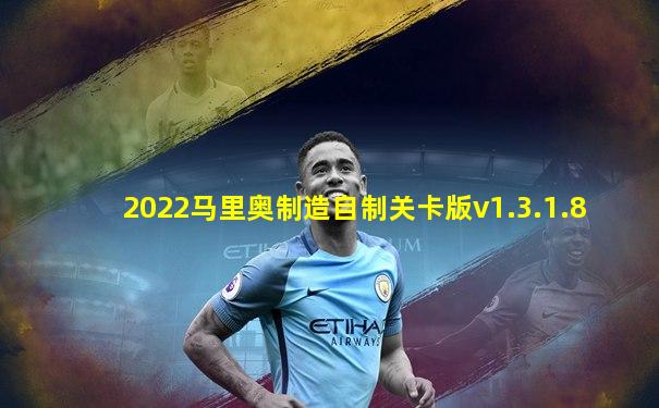 2022马里奥制造自制关卡版v1.3.1.8