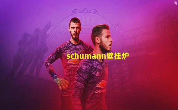 schumann壁挂炉