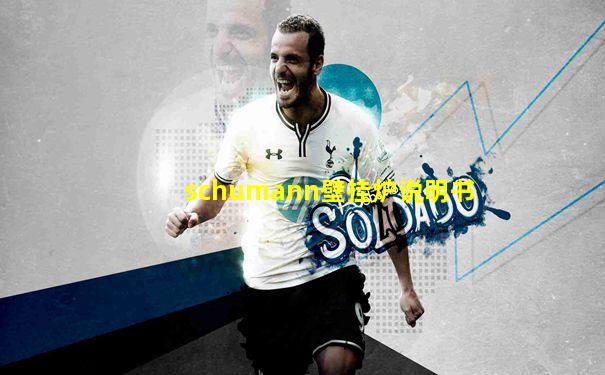 schumann壁挂炉说明书