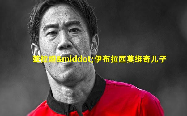 兹拉坦·伊布拉西莫维奇儿子