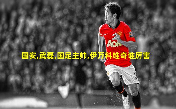 国安,武磊,国足主帅,伊万科维奇谁厉害