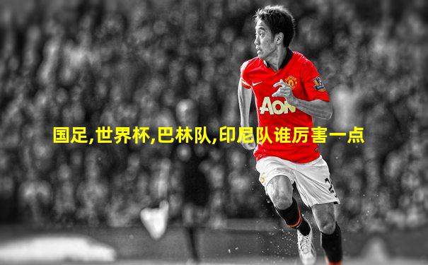 国足,世界杯,巴林队,印尼队谁厉害一点