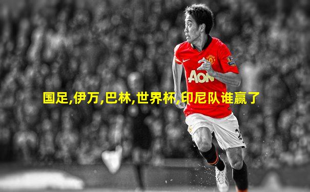 国足,伊万,巴林,世界杯,印尼队谁赢了