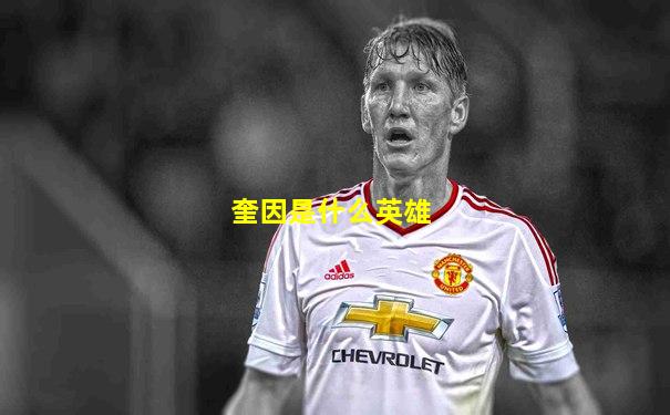 奎因是什么英雄