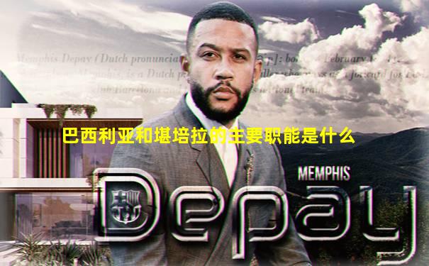 巴西利亚和堪培拉的主要职能是什么