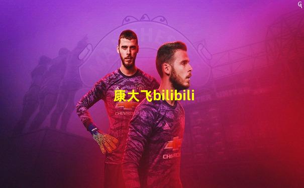 康大飞bilibili