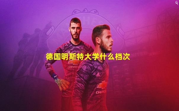 德国明斯特大学什么档次