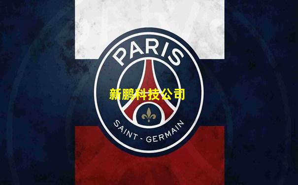 新鹏科技公司