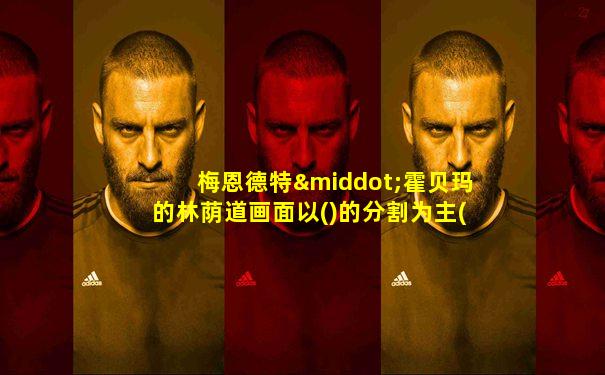 梅恩德特·霍贝玛的林荫道画面以()的分割为主(10分)