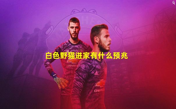 白色野猫进家有什么预兆